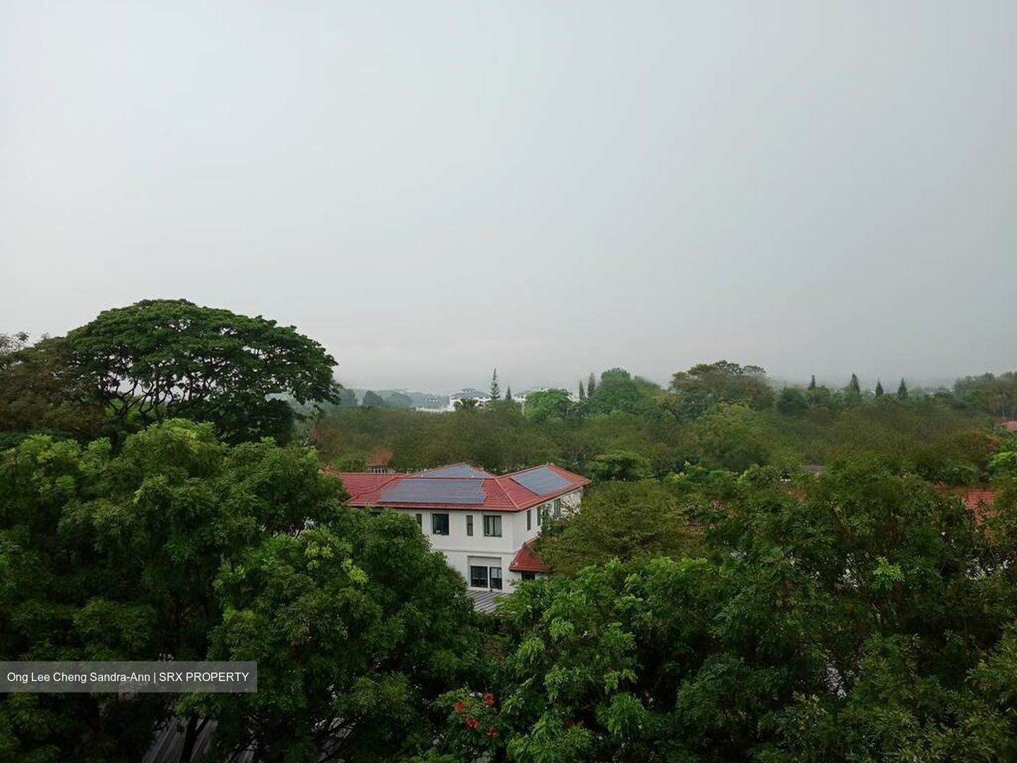 Holland Court (D10), Apartment #458945381